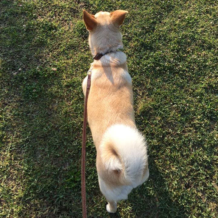 6b2ac44f 8462 40bf a804 e76f9f15af8e