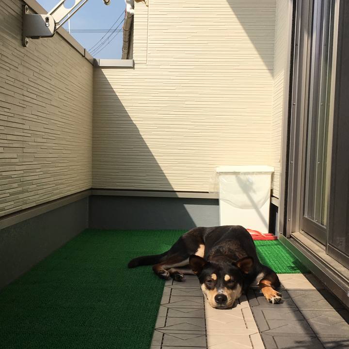 6b2af0db fc40 4495 954c f777c699f50e