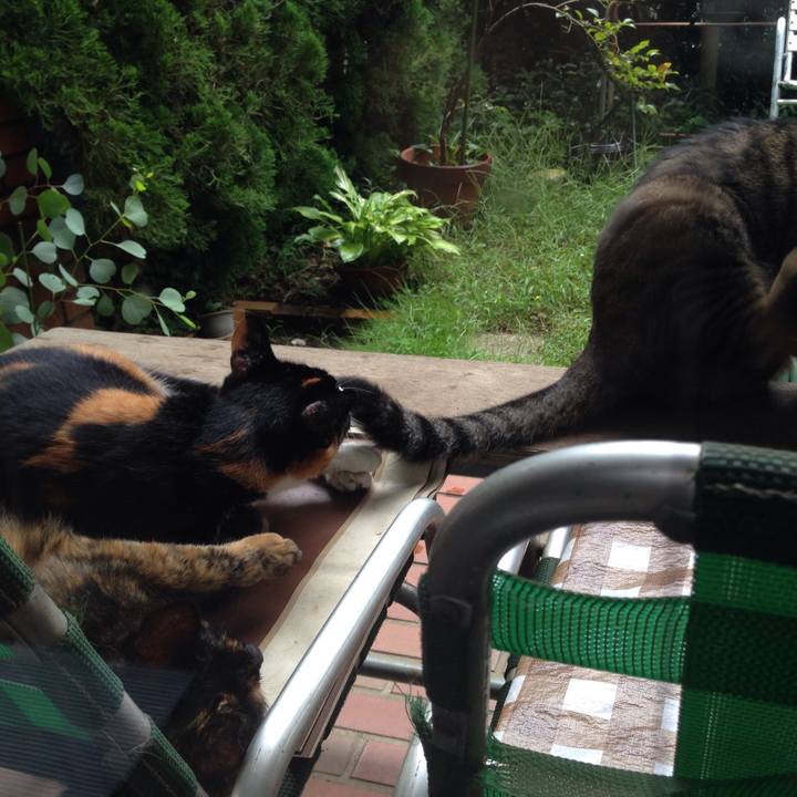 6b2b19a8 a528 4cac 887e 09845b45a351