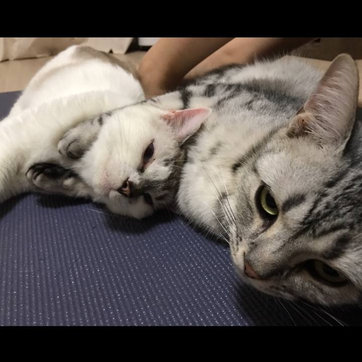 6b2c58fc a35b 4454 8159 8f4b746609ae