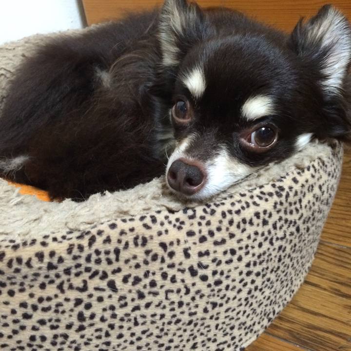 6b2cb0ad 0b2d 4f24 8a31 f160e00407a1