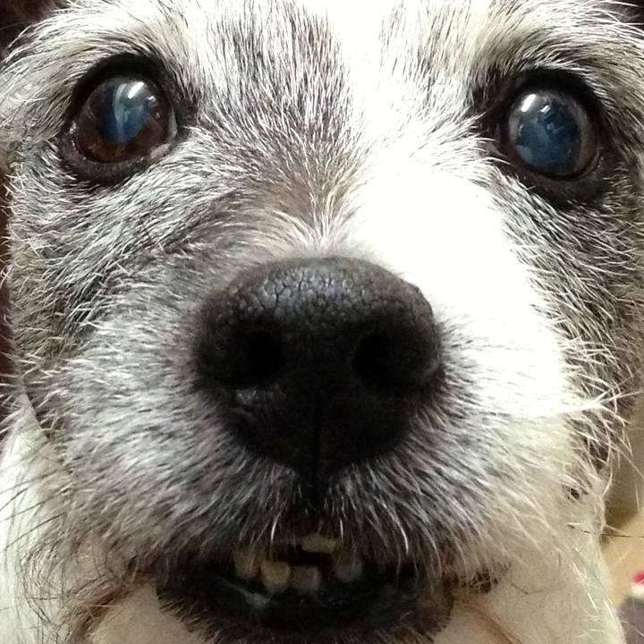 6b2cd999 d061 457e 8aba 6da29e3da18b