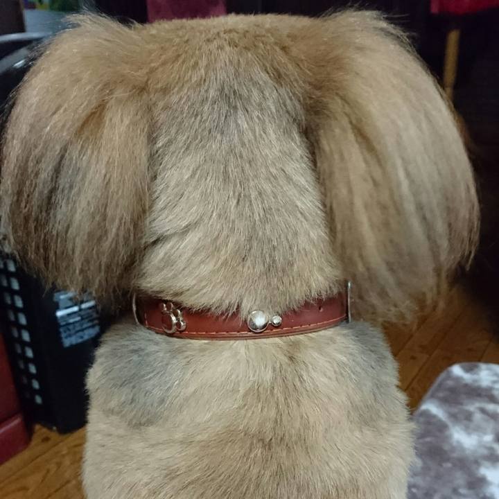 6b2cfec1 63bf 48df b94f f869a51e0b72