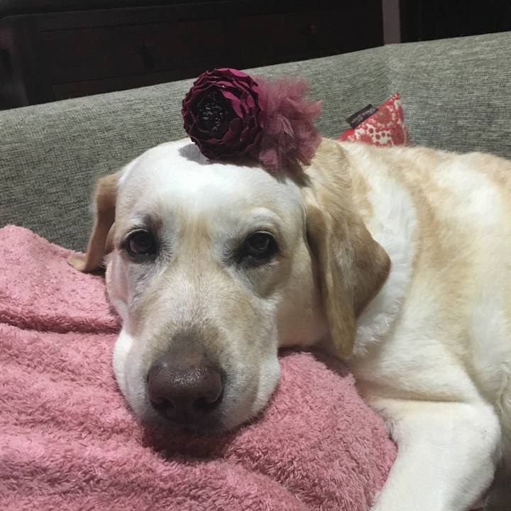 6b2d58d9 78f9 4618 8177 64d556aabbc5