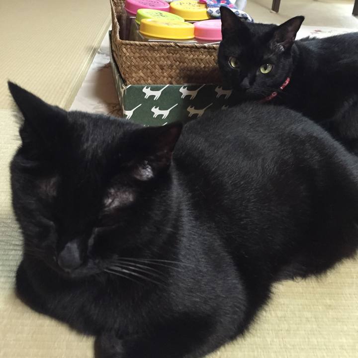 6b2de76d ab8d 42b6 b4fd 34a220c6829f