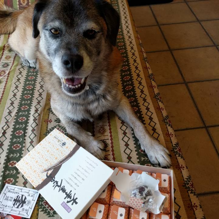 6b2df68f 2bed 4131 b9e2 3ad2904775f7