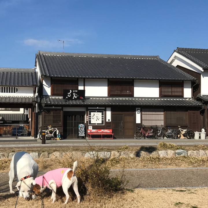 6b2e0753 4956 4e56 870c 1a451de751fa