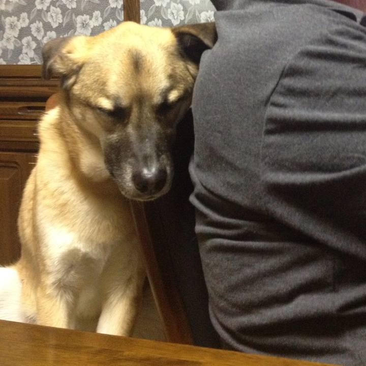 6b2ee0ed a6ad 4431 b25f 278814d861cf