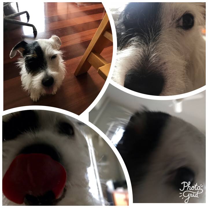 6b2ee20e 658b 4438 9465 a92fec0861f5