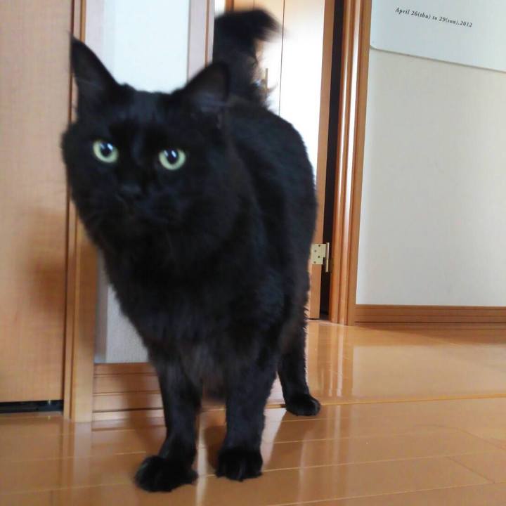 6b2efad5 e429 49f7 8ca0 33cd2648b64a