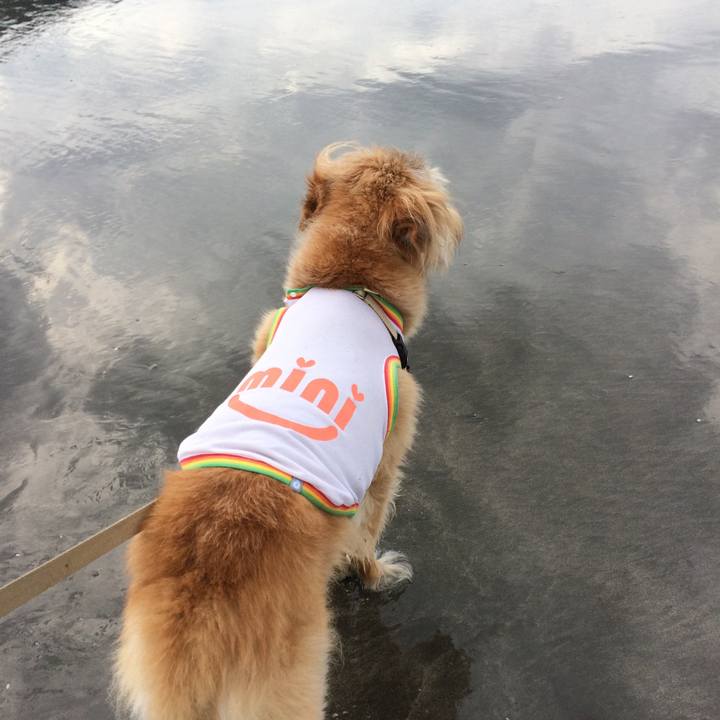 6b2f1c6d 29b4 4f5c 98d0 aa1ff00d5ca5