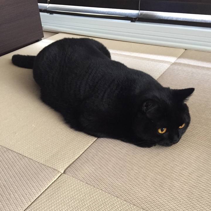 6b2f6810 ecc4 4e80 ba03 876517cb7c0d