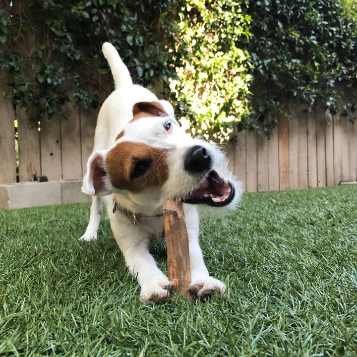 6b2fa454 bf2e 44e0 be6c eacde0a8b331