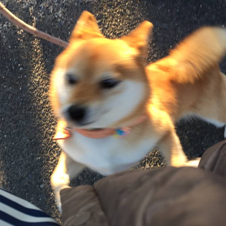 6b305a87 cde5 491f 8a27 b10c5fb65882