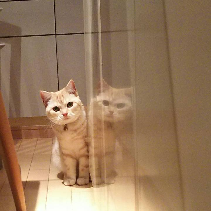 6b30f390 b4ca 4ff8 a72b 465059f32f20