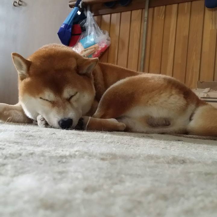 6b3108ae 93b8 4385 9b84 f9c0c66510e0