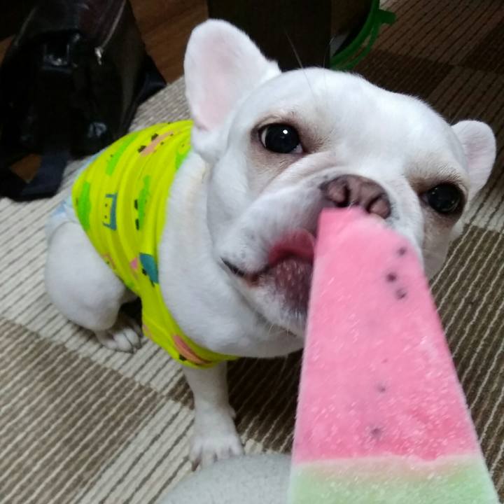 6b310c83 b7fc 42f8 b451 c6c6a7ff0f51