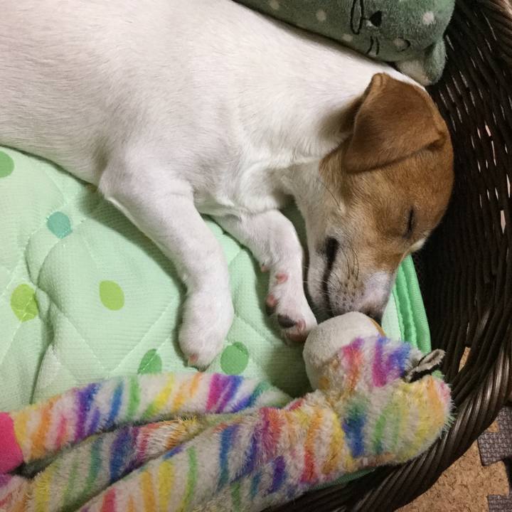 6b3158bb 5e77 4100 976a dfdf1efb4318