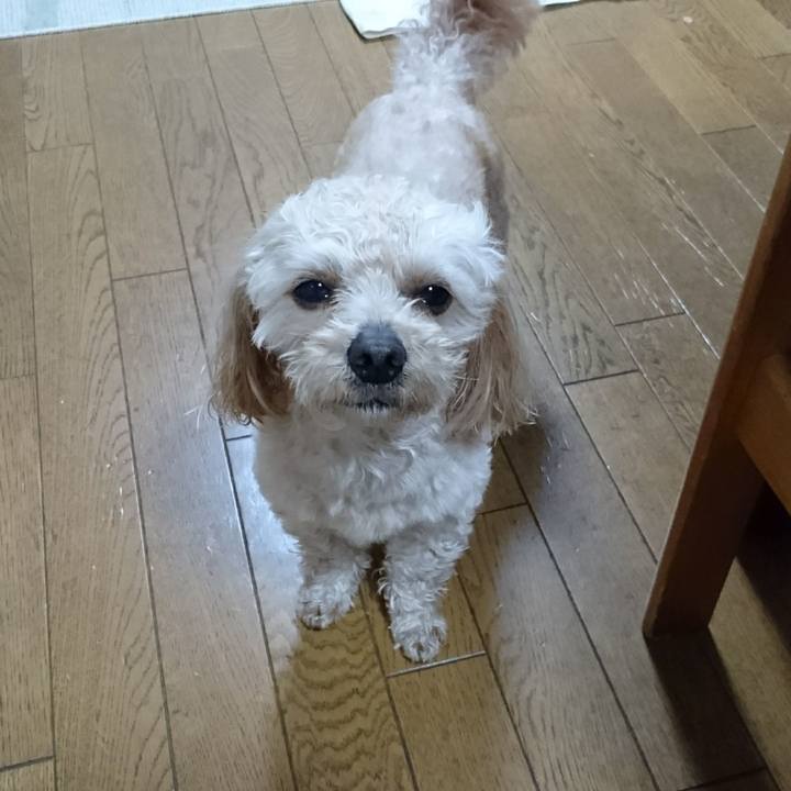 6b316435 5b80 49b8 8ec0 d797c9630e1d