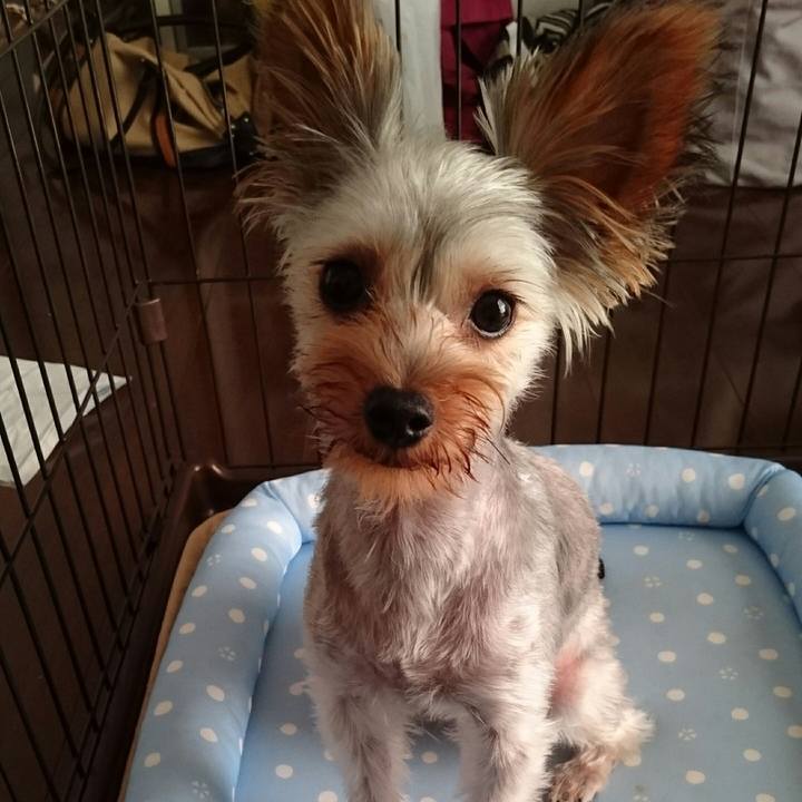 6b317b95 5a3f 4077 82af 287a1133f4cf