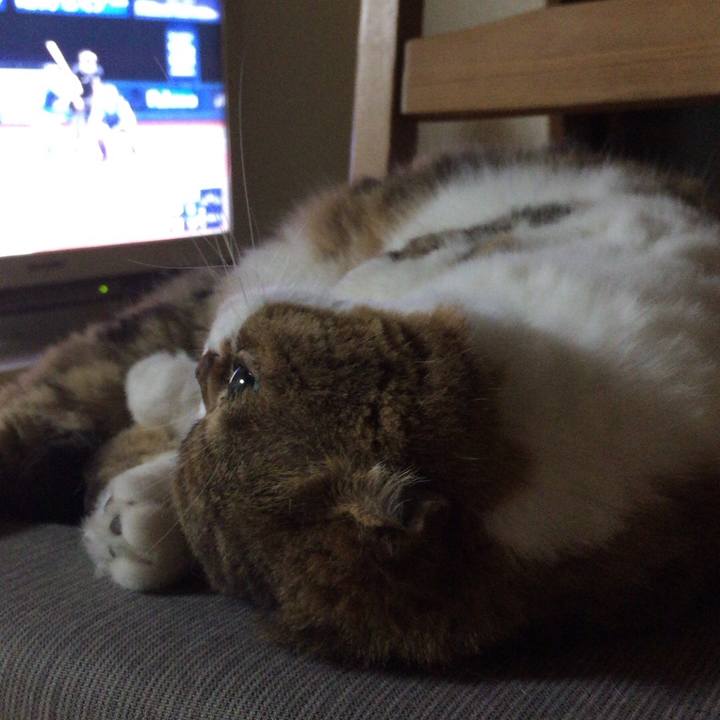 6b31d8b7 817f 4124 9dc0 1dc7207e0676