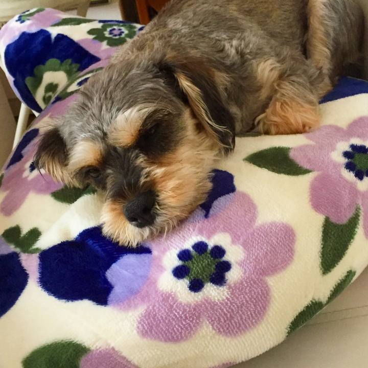 6b31e084 f336 4197 ac97 15de6a36d987