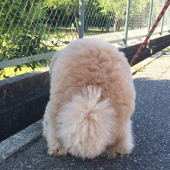 6b324013 b0d6 4cdb a569 059c9bd5eab3