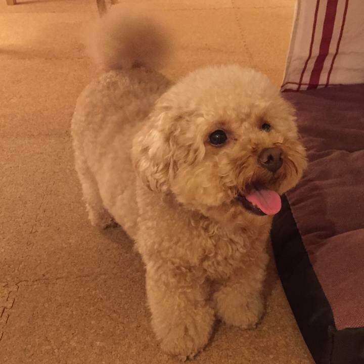 6b32bce4 1d0d 4c6f a080 2a2361c3e6d8