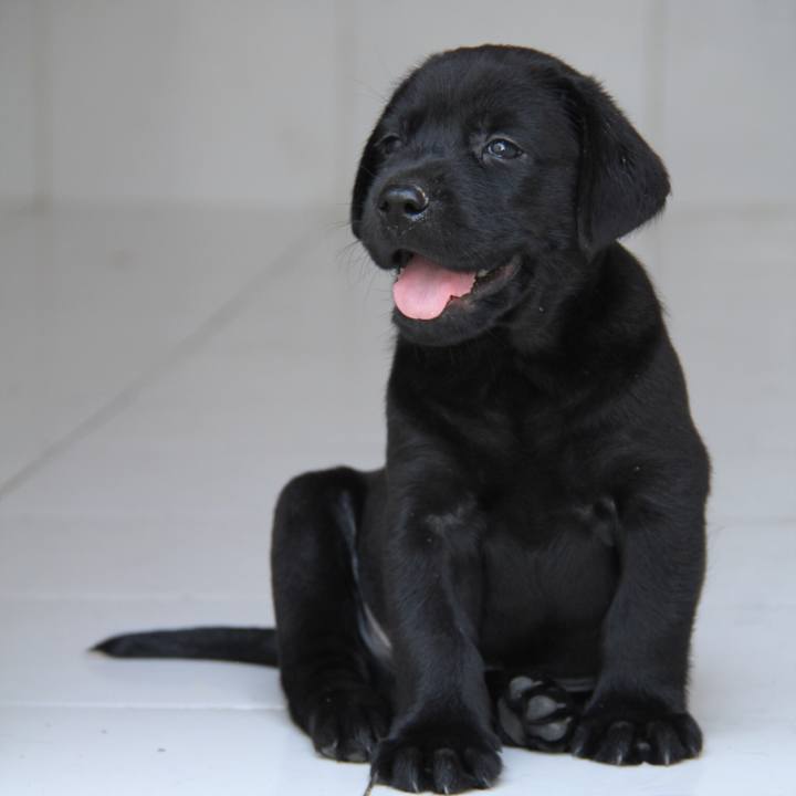 6b33377d 4eb9 46b4 a467 189919928364