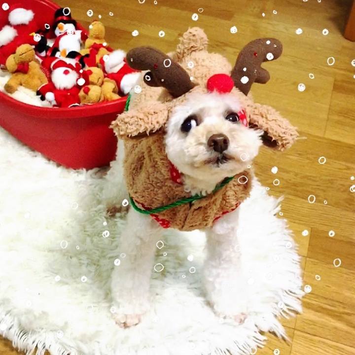 6b3345db a8f8 4866 921d c544e9e143e7