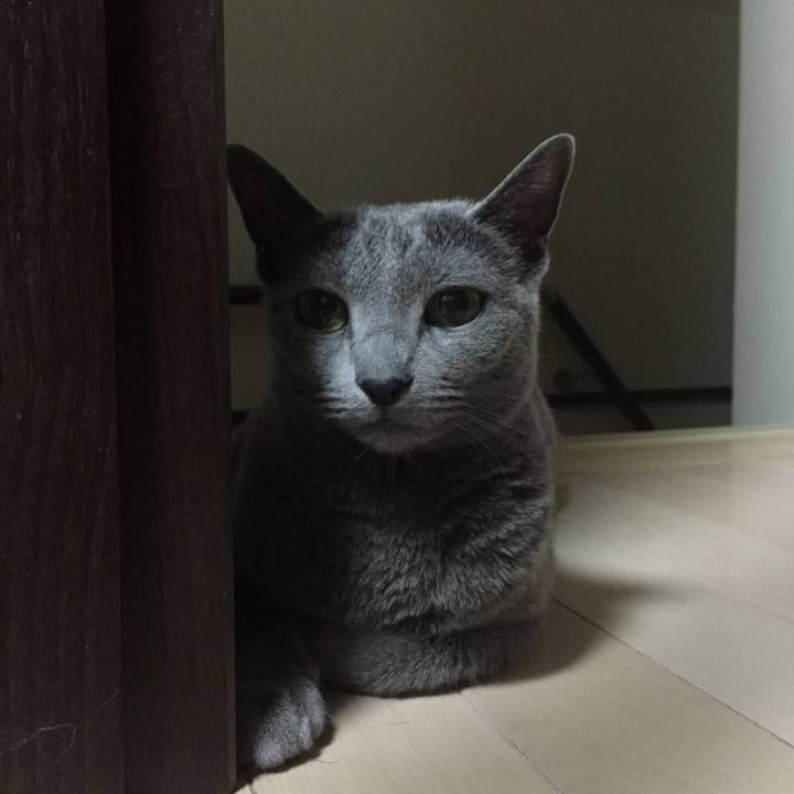 6b338af1 5c98 44e2 88f2 43e28c7835c5