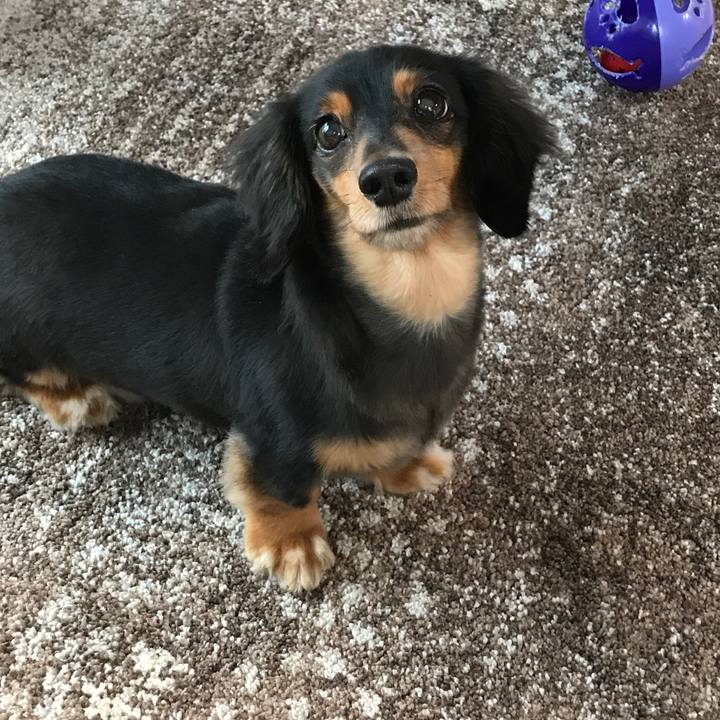 6b33977b 8f73 47f9 8b09 6c1c05cea840