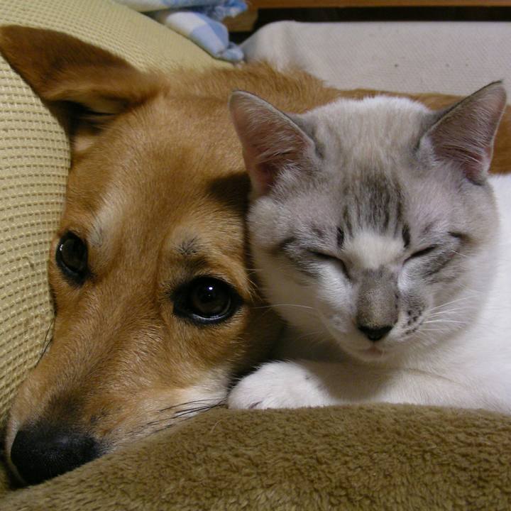 6b33c0be 17a7 4cc4 904e 5057c7dcbfa3