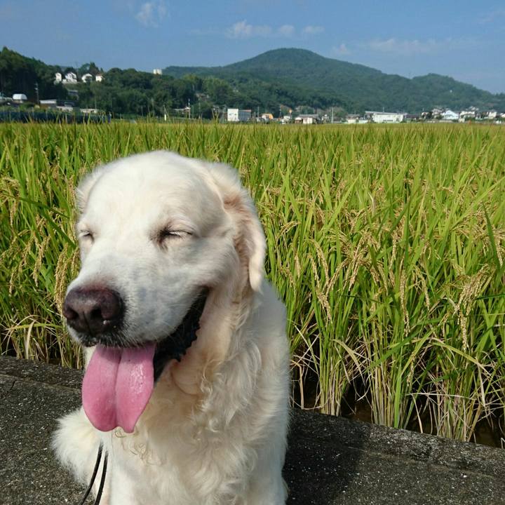 6b3567e3 61db 4edf 81e2 133cdb03058c