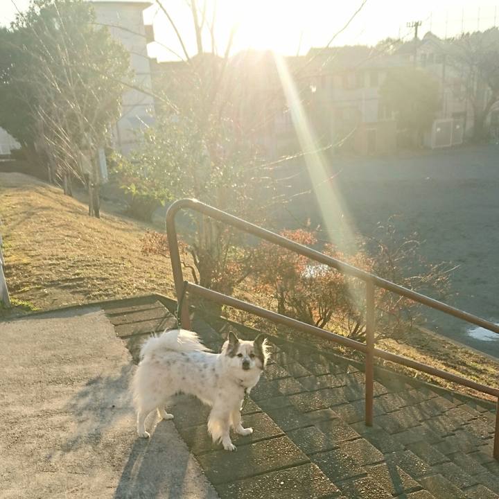 6b35991e 54a9 4a73 8fae c9e83c1adbbe