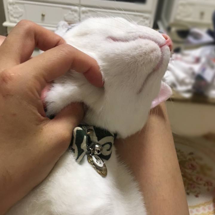 6b35a878 2fa1 4a36 95a6 554b538afdcf