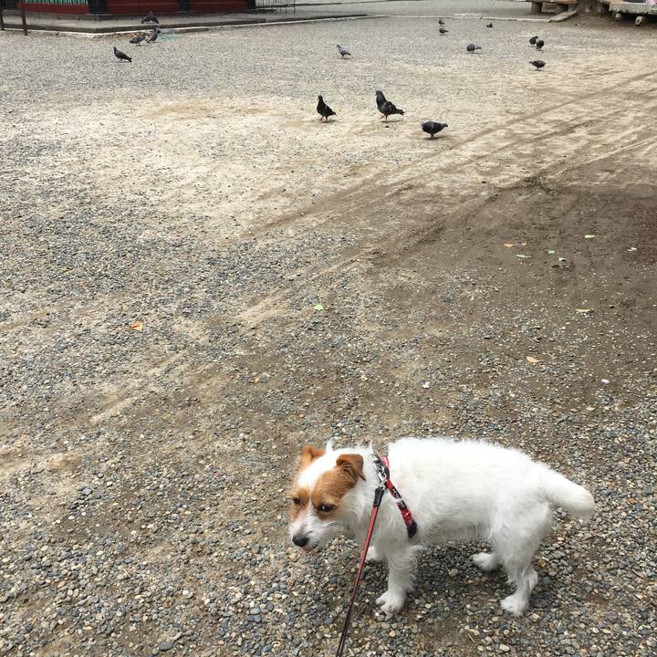 6b35a89f e789 4261 ac08 adf064cb25af