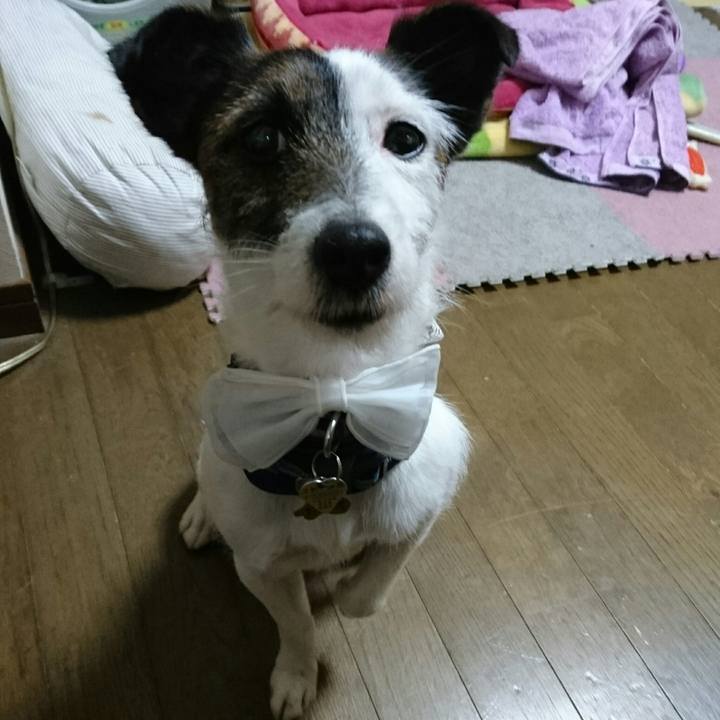 6b35ba8c e680 417a a7a2 5084c6009103