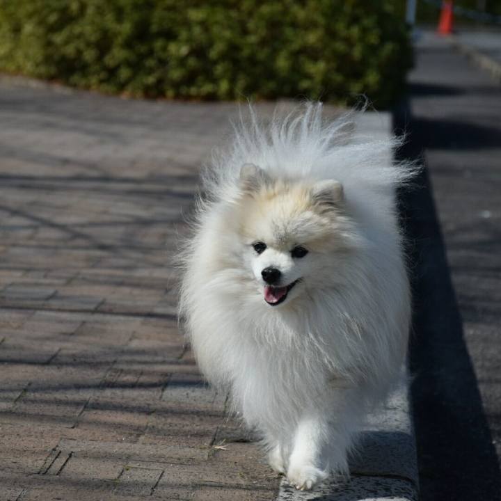 6b35f4ca 7b7c 47e5 80cc 9ec566743bfc