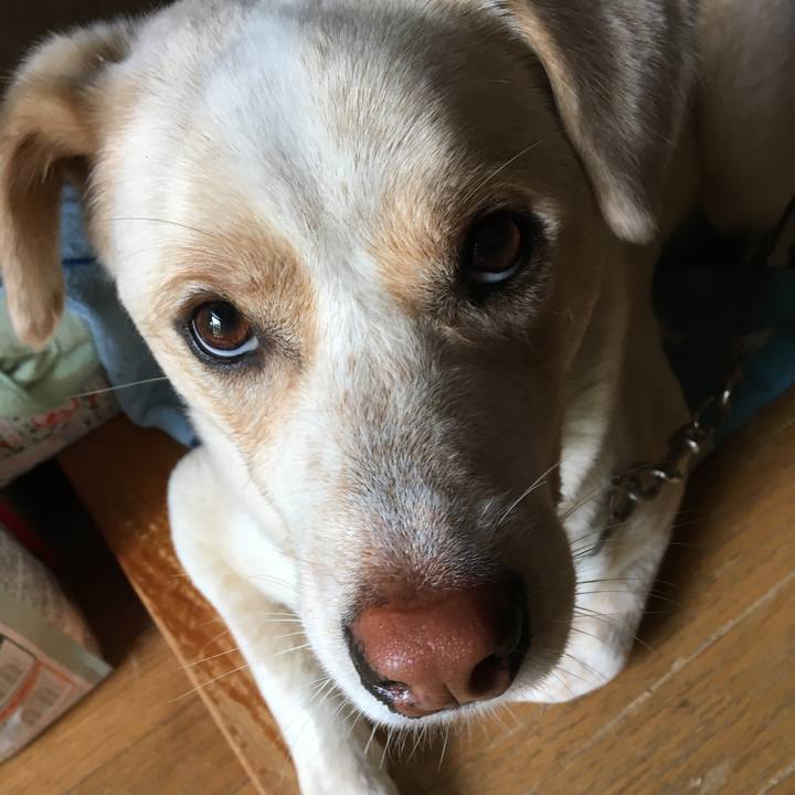 6b362c59 e255 4bca 849b 901b931b403d