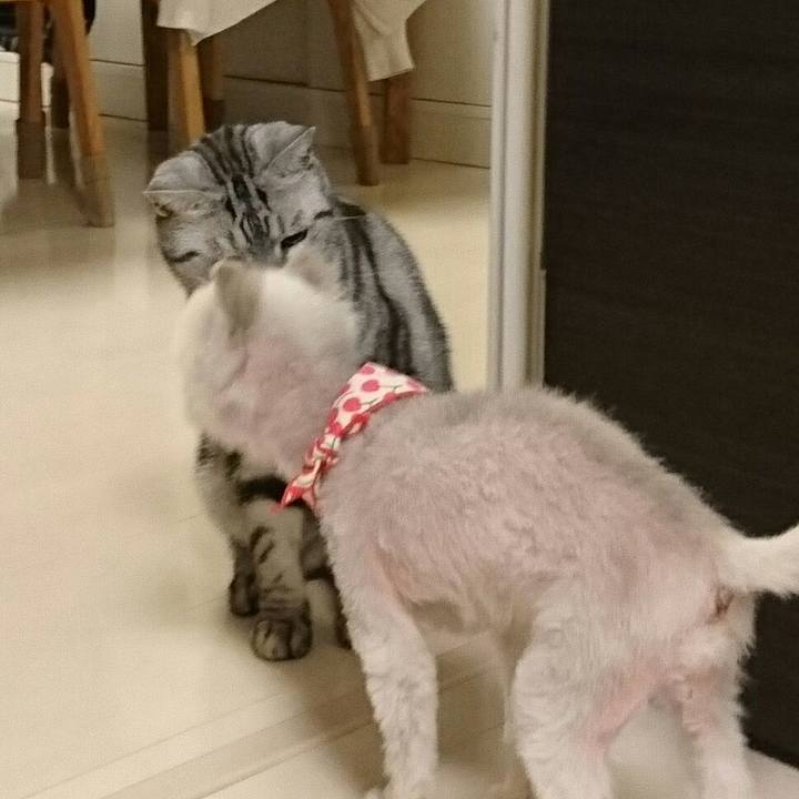 6b36633c 159c 48c9 934c 7cdeca1b0e2c