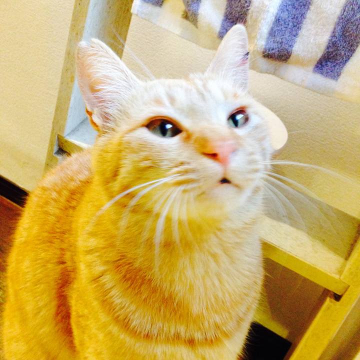 6b369afe b7af 4cd8 8e43 60e5592dba1f