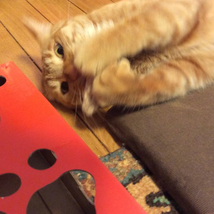 6b374b1b 55ac 48d3 8874 43cb06b62495