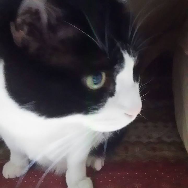 6b377660 9af6 4d5e 890d f14ff93acc90