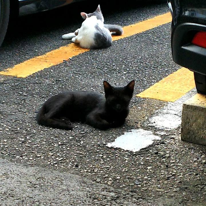 6b378085 86a9 447c 94bb 2fd4cd39de66