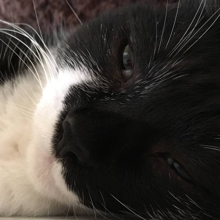 6b385ed9 f277 4b2e a6b6 6f138c04fb18