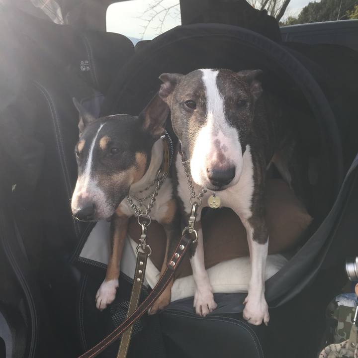 6b3882d1 fdec 494b bb83 63f0cf117086