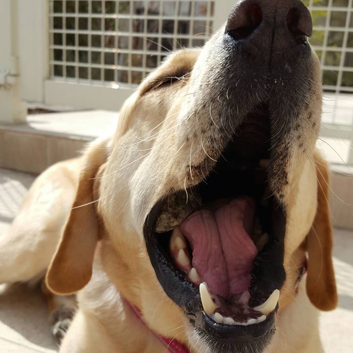 6b38baec 44bf 4ed5 8a95 69a099864eb6