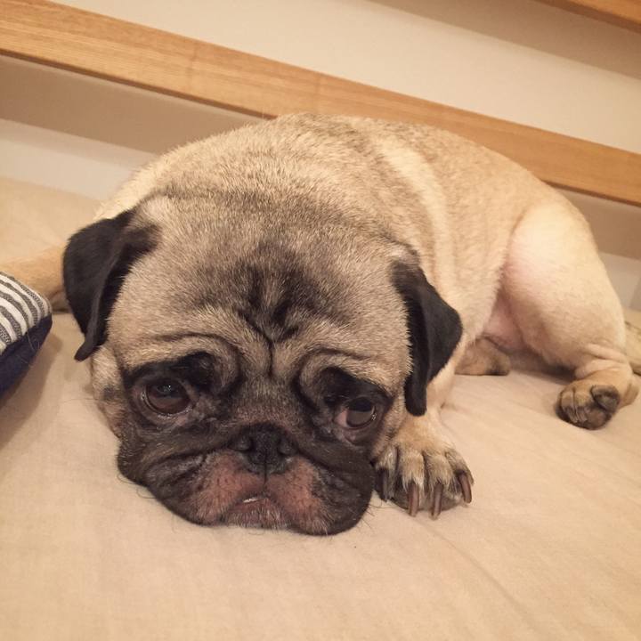 6b38cf82 6b79 4411 a2b7 2f2142633617