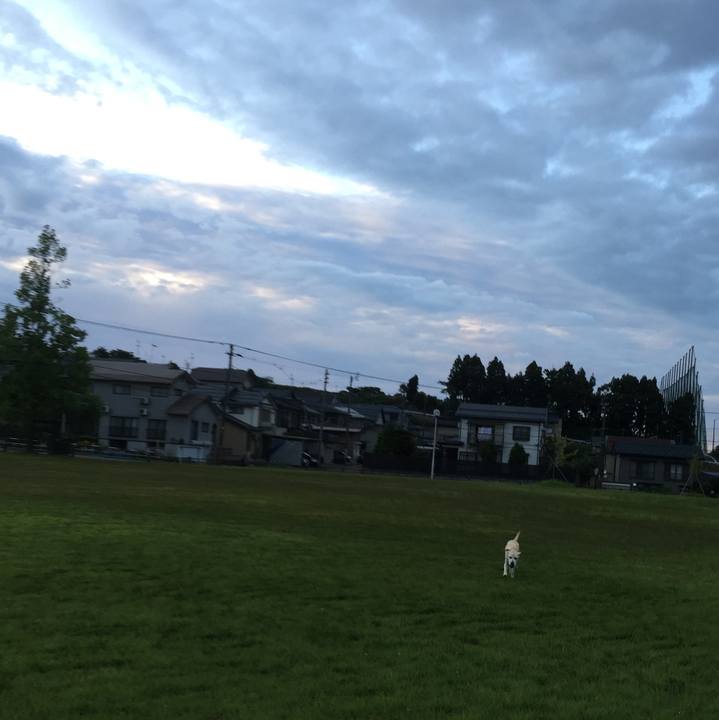 6b392fbb dd73 40b7 a42e c67fb2d476a1